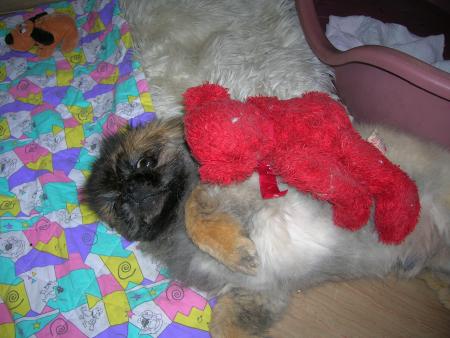 au secours!je suis attaqué par mon nounours!!