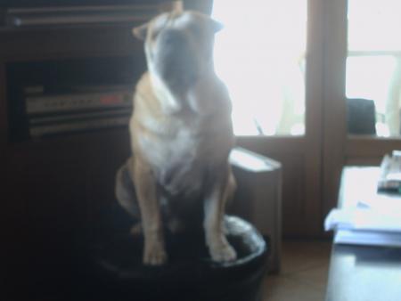 Mon pouf!!!